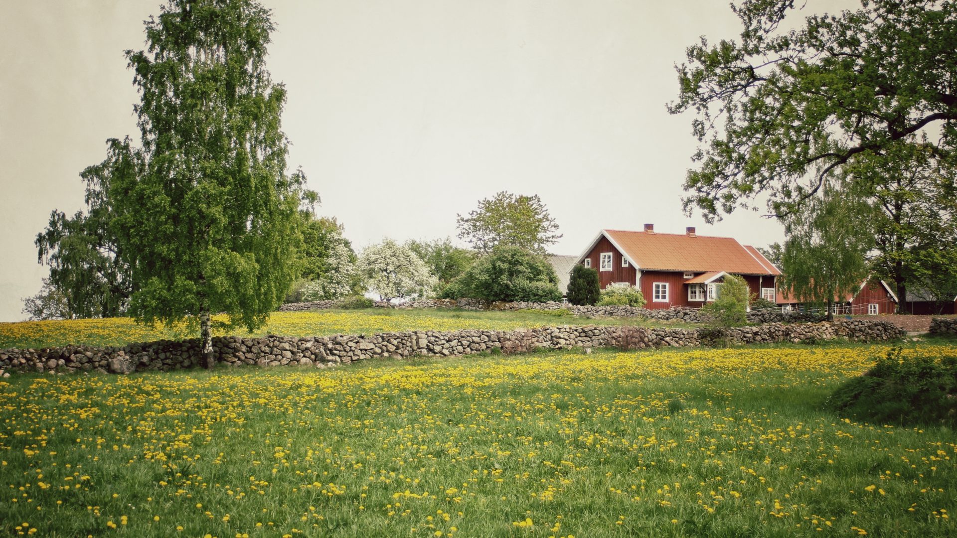 Landskap rött hus med vita knutar med stenmur