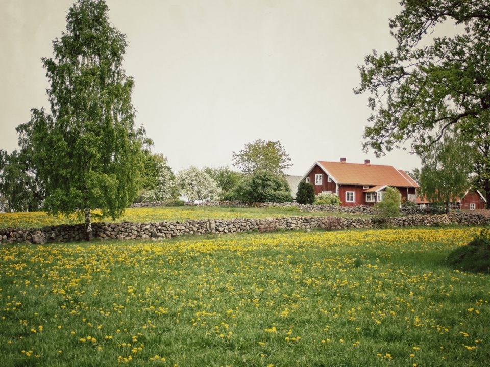 Landskap rött hus med vita knutar med stenmur